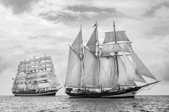 Bergen race start 2014