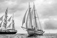 Bergen race start 2014
