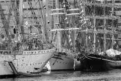Parade of sail Bergen 2014
