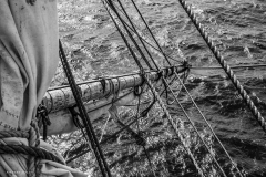 A view of the Sprits'l yard