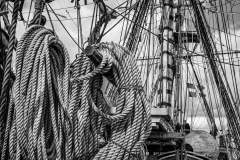 Hemp rope coils Hemp rope coils
