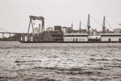 RS28655.jpg