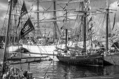 EXCELSIOR and BOY LESLIE. Foreground vessel BETTY. Background SHABAB OMAN II and DAR MLODZIEZY EXCELSIOR and BOY LESLIE. Foreground vessel BETTY. Background SHABAB OMAN II and DAR MLODZIEZY