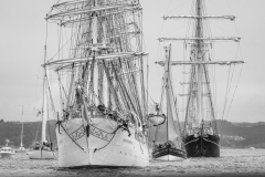 CHRISTIAN RADICH, SWAN and GULDEN LEEUW CHRISTIAN RADICH, SWAN and GULDEN LEEUW