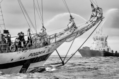 Le Havre Tall Ships Race 2025 Le Havre Tall Ships Race 2025