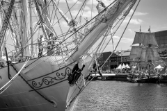 Le Havre Tall Ships Race 2025