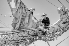 Le Havre Tall Ships Race 2025