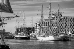 Le Havre Tall Ships Race 2025