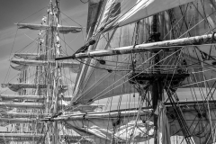 Le Havre Tall Ships Race 2025 Le Havre Tall Ships Race 2025