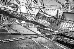 Le Havre Tall Ships Race 2025