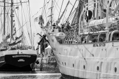 Le Havre Tall Ships Race 2025 Le Havre Tall Ships Race 2025