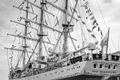 Le Havre Tall Ships Race 2025