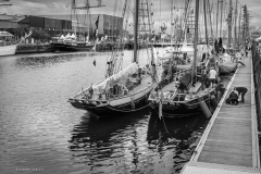 Le Havre Tall Ships Race 2025
