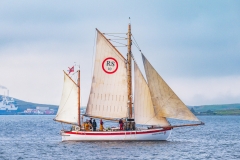 RAS0378 RAS0378
