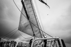 RAS5584.jpg RAS5584.jpg