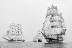 RS25743.jpg RS25743.jpg