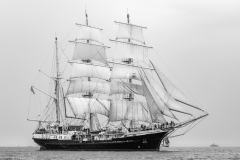 RS35617.jpg RS35617.jpg