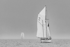 RS35896.jpg RS35896.jpg