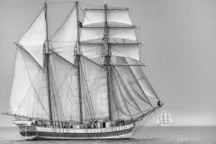 RS35912.jpg RS35912.jpg