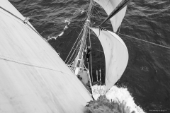 RAS8921-1