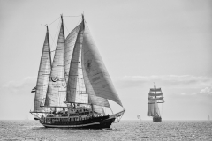 Capitan Miranda and Gulden Leeuw competing in the race start 