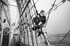 Professional crew in the rig