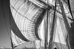 Shadow show on the main  course