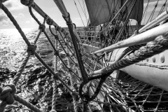 A view fom the safety netting