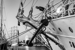 On the quay in Dunkerque