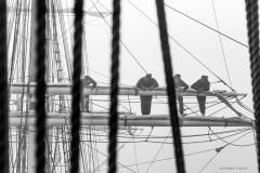 On the upper topsail yard
