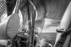 A freshening breeze