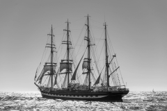 TOULON VOILE de LÉGENDE 2013