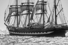 TOULON VOILE de LÉGENDE 2013