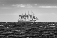 TOULON VOILE de LÉGENDE 2013