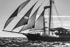 TOULON VOILE de LÉGENDE 2013