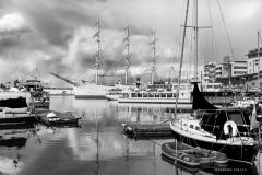 Viking, 4 masted barque